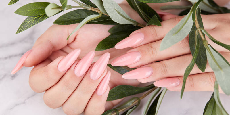 Studio Salons