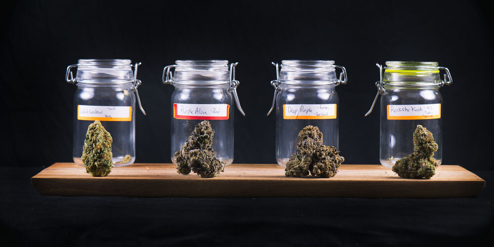 Green Cannabis Co. at night
