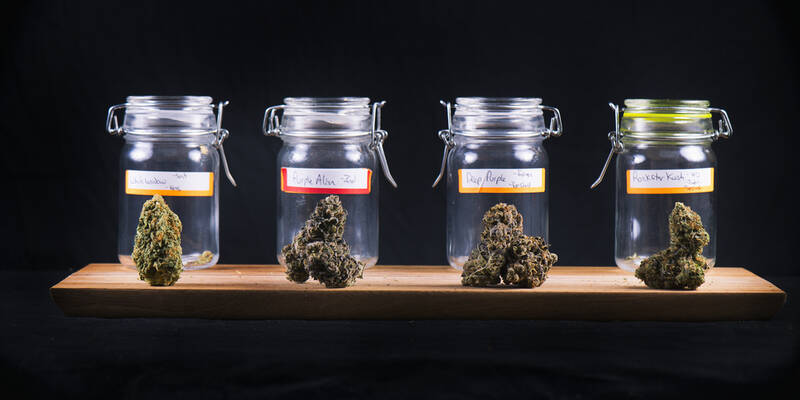 Greenlight Dispensary