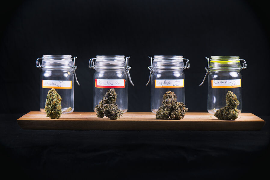 Wallflower Cannabis House