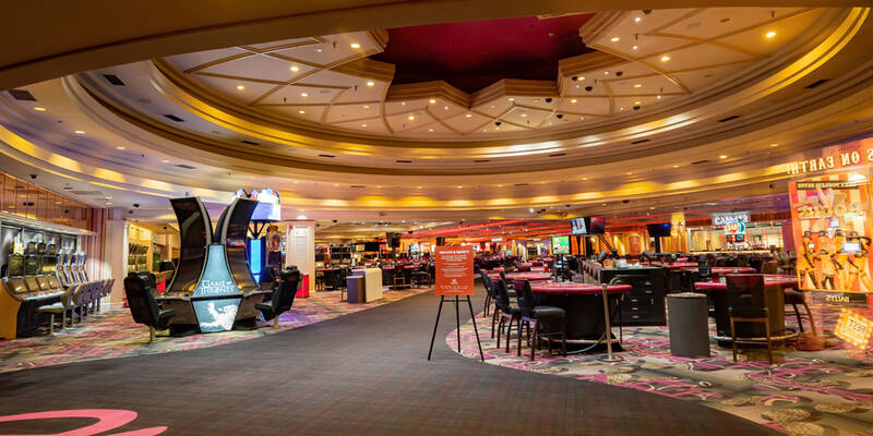 Flamingo Casino