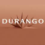 Durango Slots