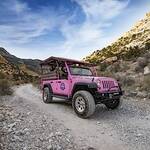 Red Rock Canyon with Rocky Gap Adventure Tour