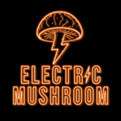 Electric Mushroom