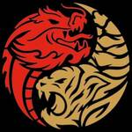 Dragon Tiger Noodle
