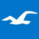 Hollister Co.