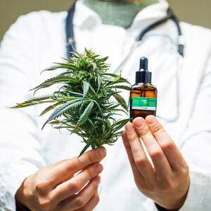 Marijuana Doctors