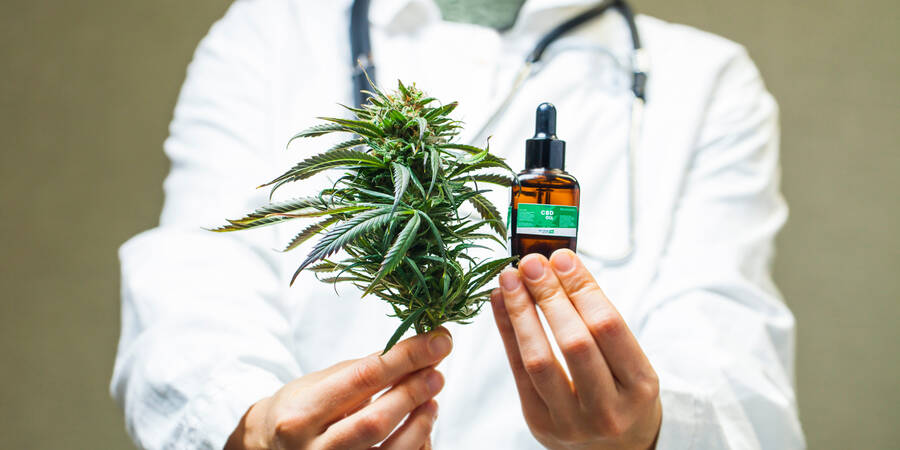 Marijuana Doctors