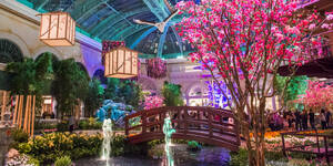 Habitats & Gardens