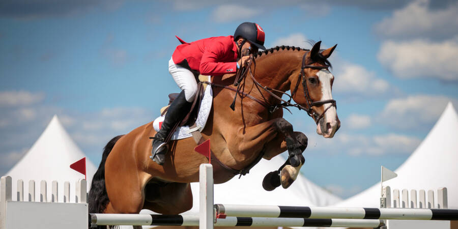 Equestrian