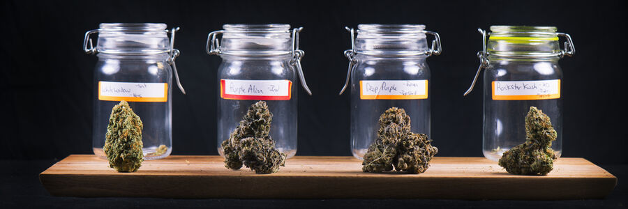 Dispensaries