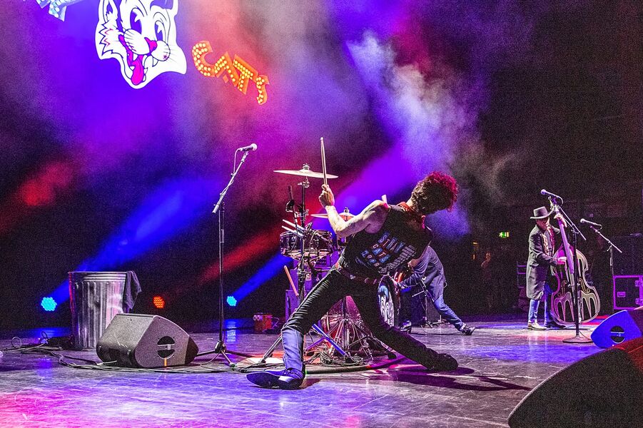 The Stray Cats