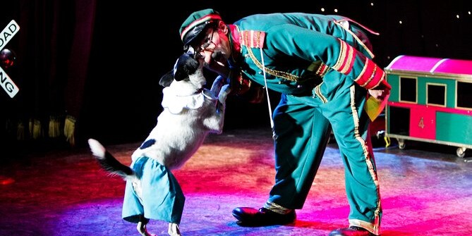 Popovich Comedy Pet Theater