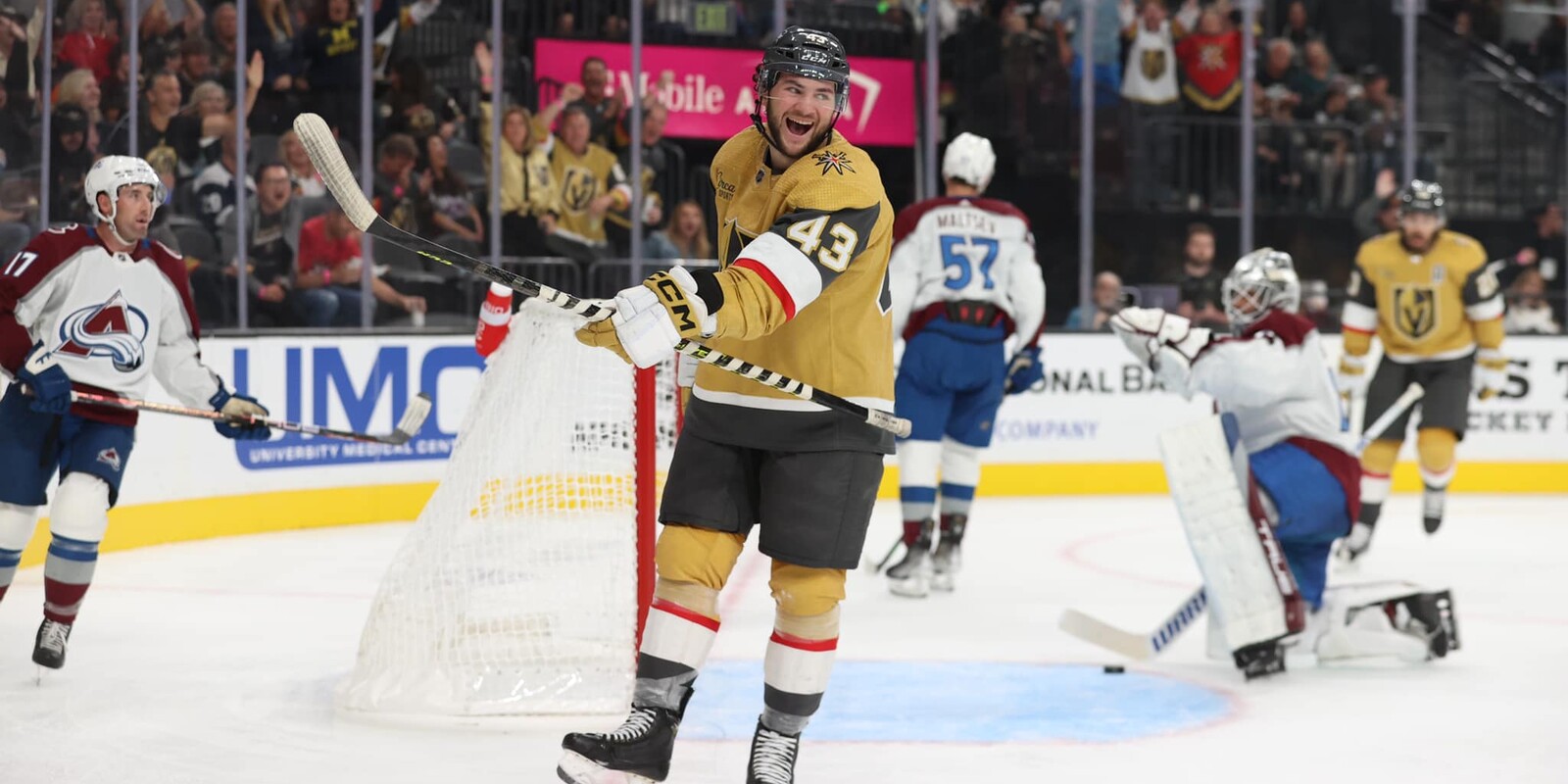 Vegas Golden Knights Whole Schedule