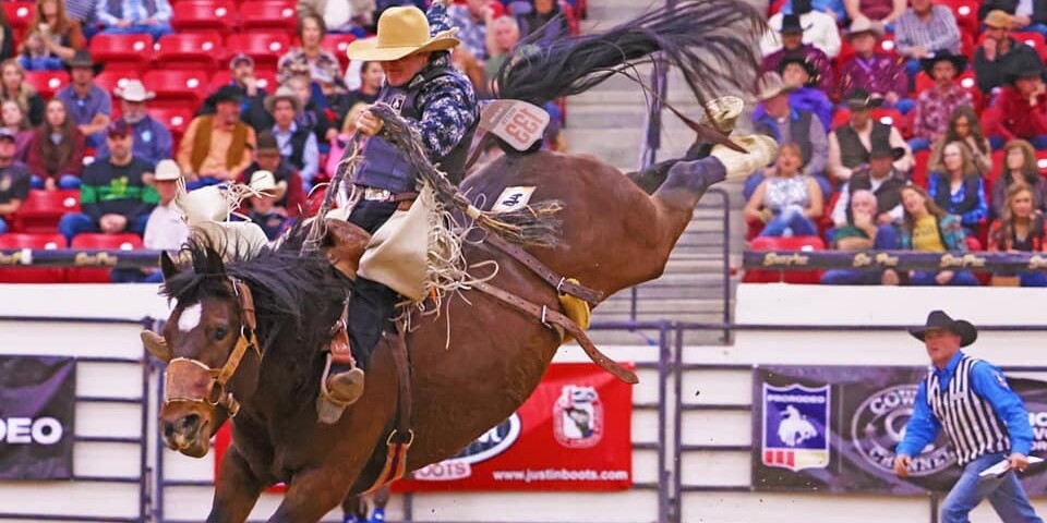 Benny Binion’s World Famous Bucking Horse and Bull Sale