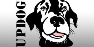 Updog