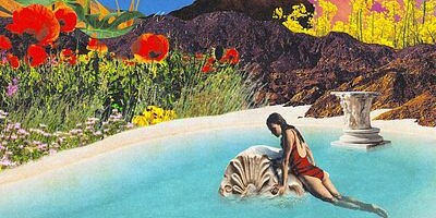  Art of the Wild 