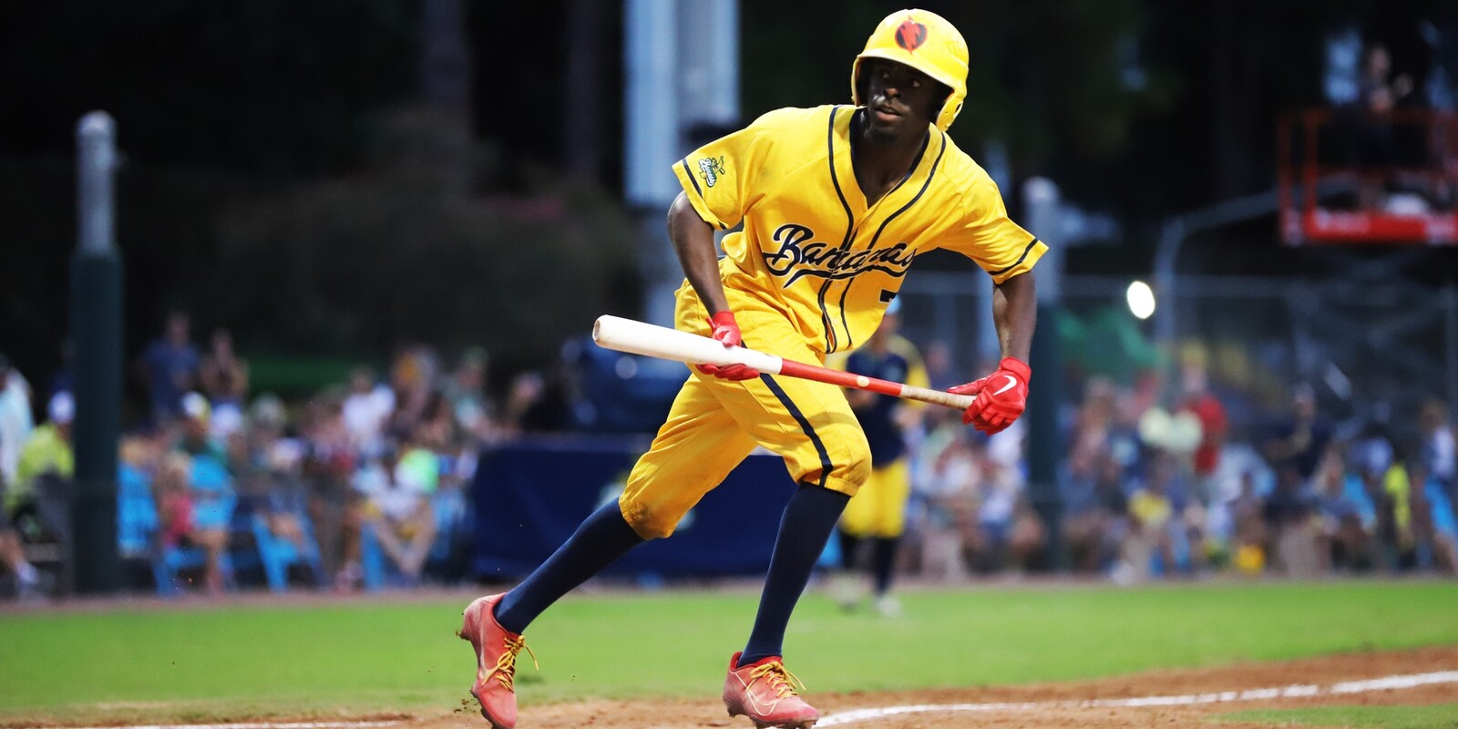 The Savannah Bananas