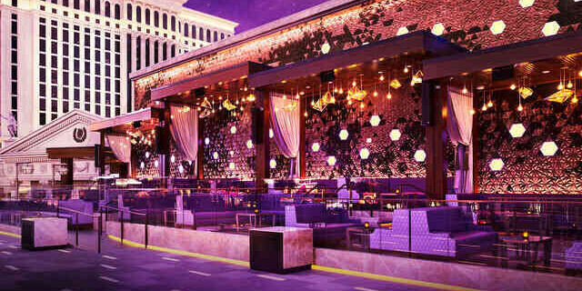 OMNIA Thursday 
