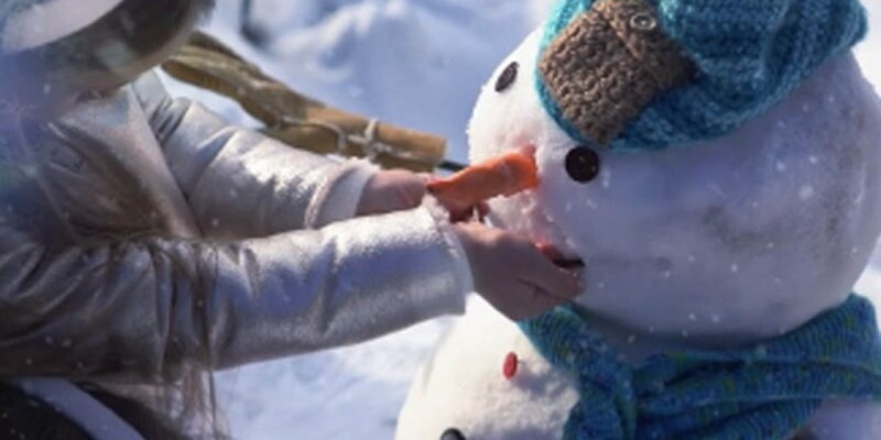 Snow Carnival Holiday Forest