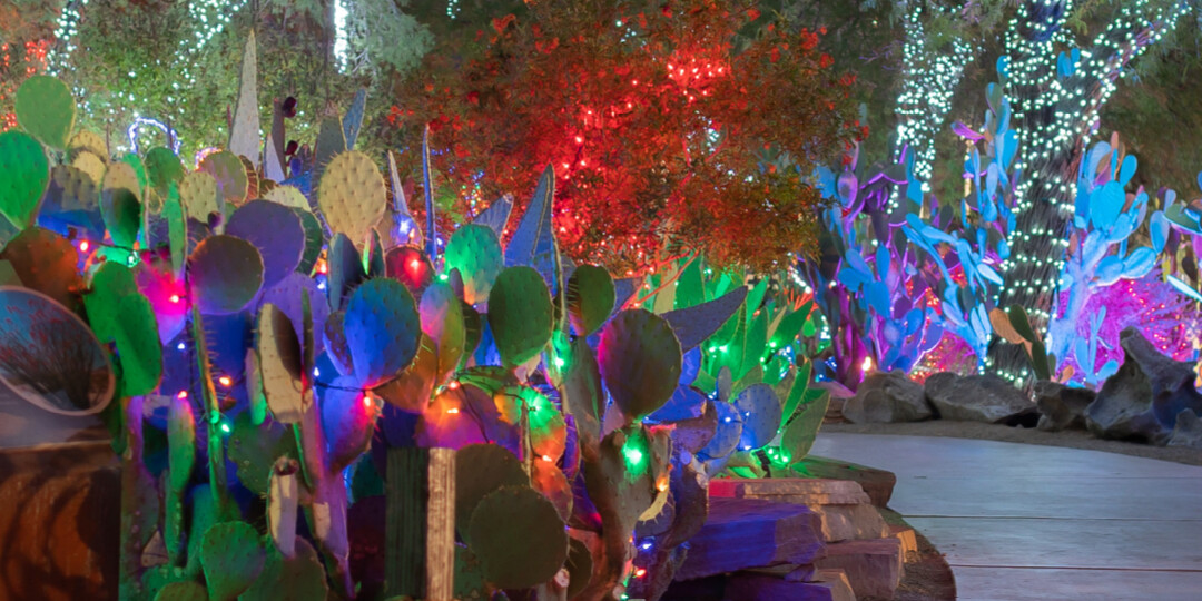 31st Annual Holiday Cactus Garden Lights