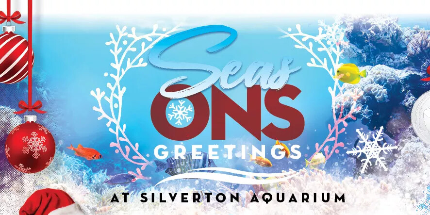 Seasons Greetings at Silverton Aquarium