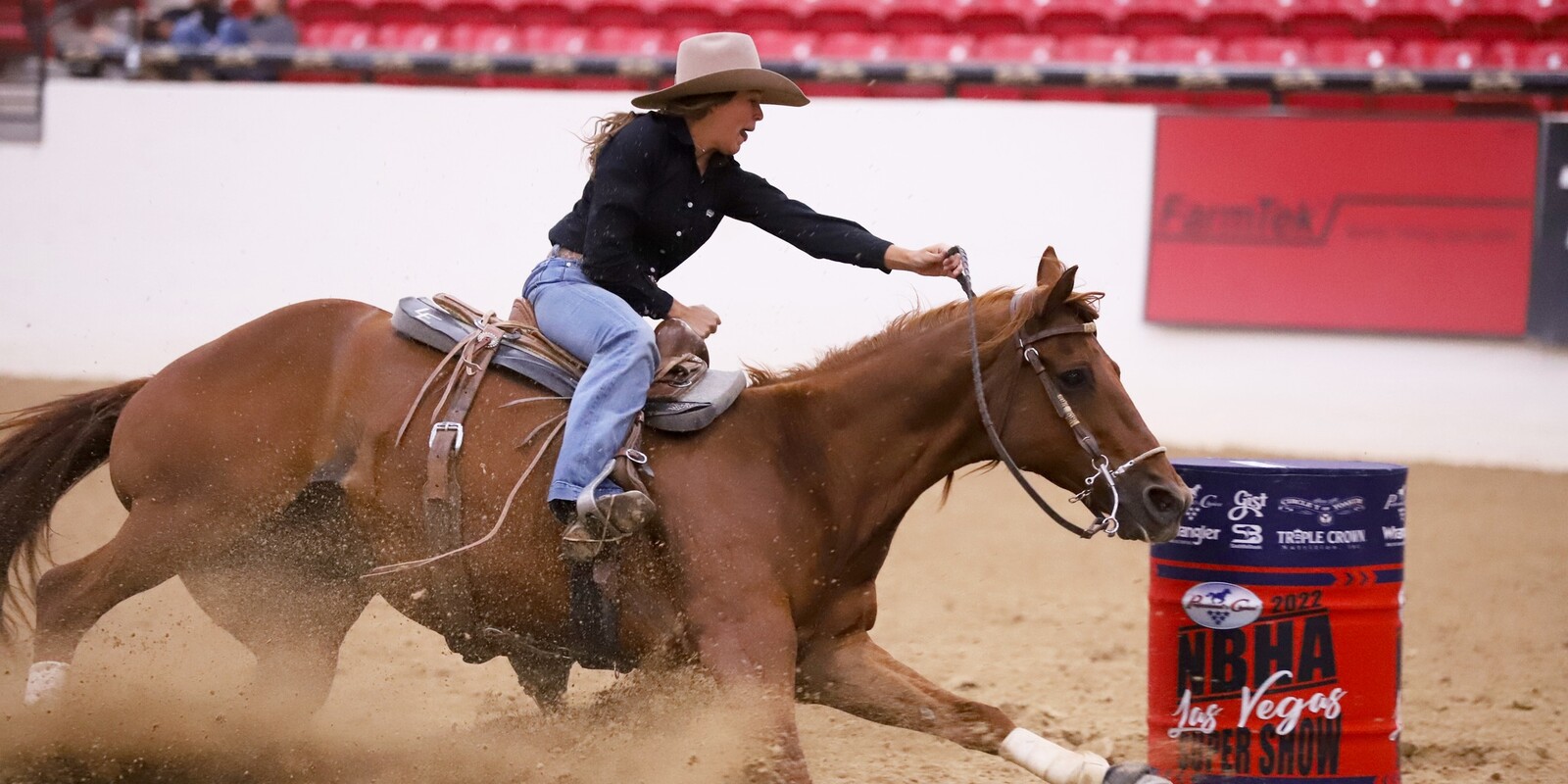 2024 NBHA - Professional's Choice Super Show