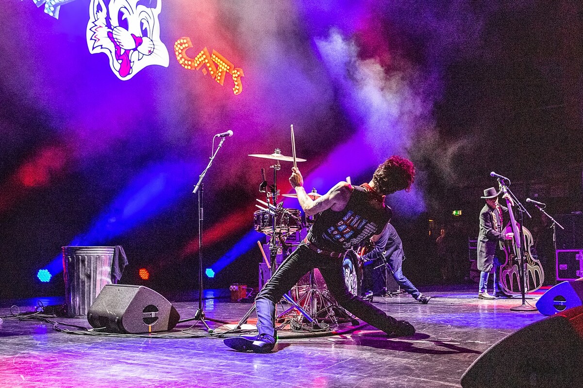 The Stray Cats