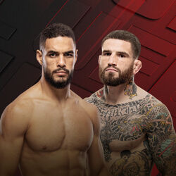 UFC Fight Night: Bonfim vs Brady