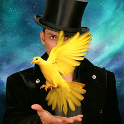 Allstars Of Magic