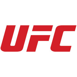 UFC 335