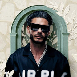 DJ Pauly D
