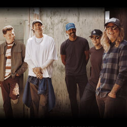 Dirty Heads