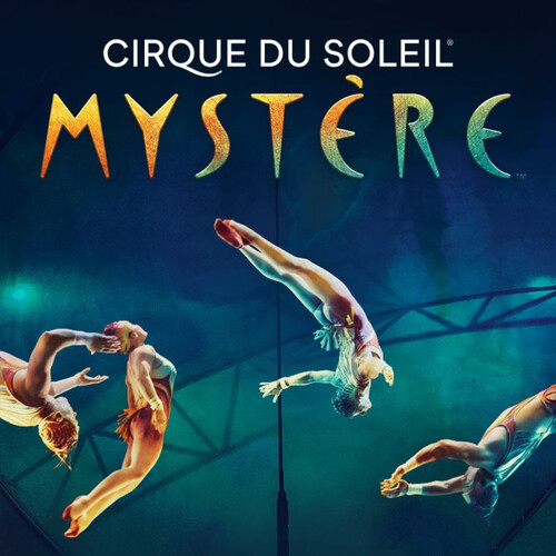 Mystère by Cirque du Soleil