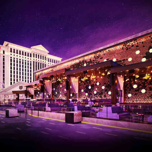 Thursdays on the Terrace
