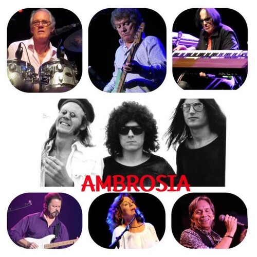 Ambrosia