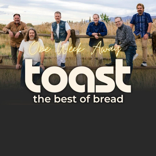 Toast: The Best of Bread