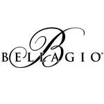 Bellagio Convention Center